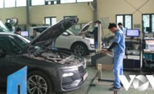Cục Đăng kiểm VN lên tiếng việc mạo danh tư vấn dịch vụ gia hạn